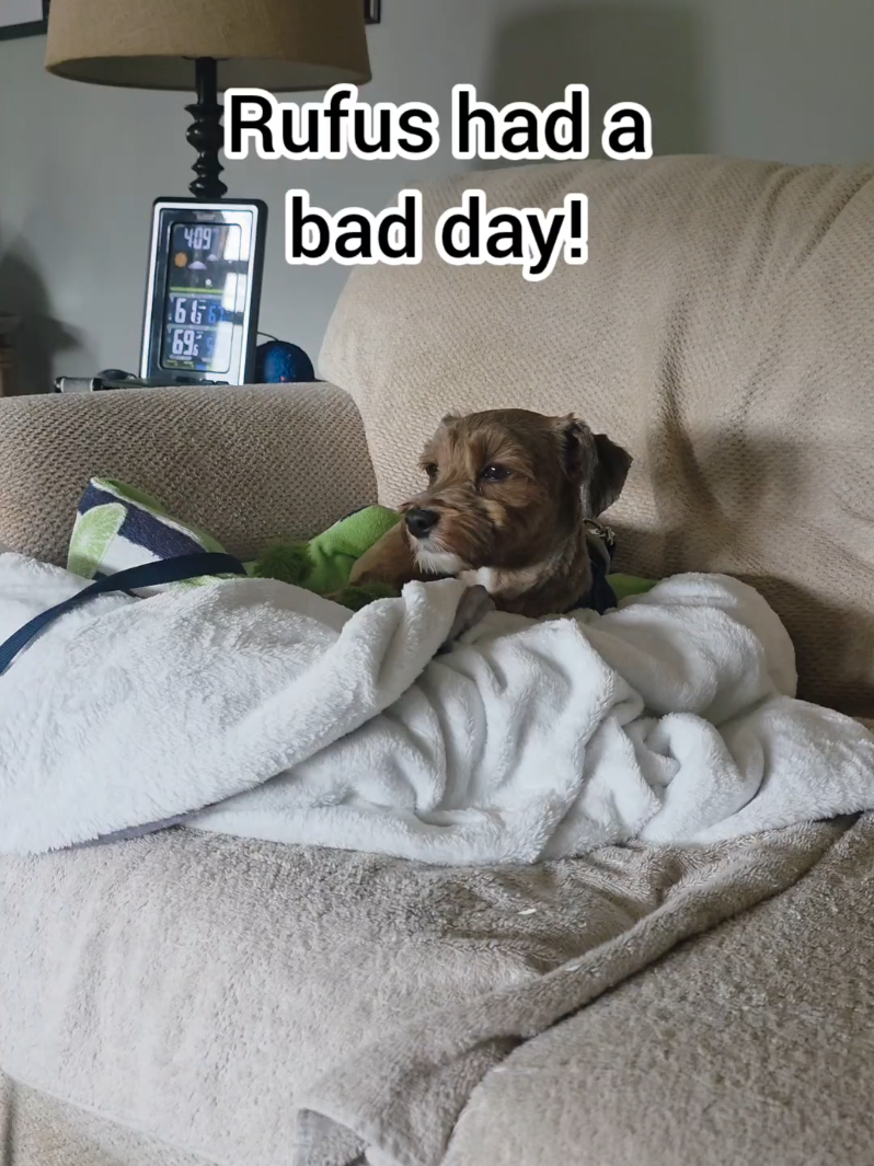 @BuddyandMikes Pal