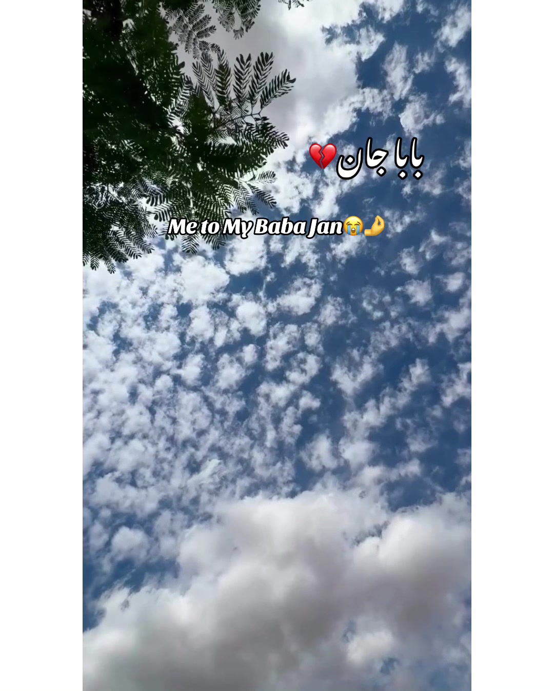 @⚜️𝐊𝐇𝐎𝐊𝐇𝐀𝐑❤️🩹