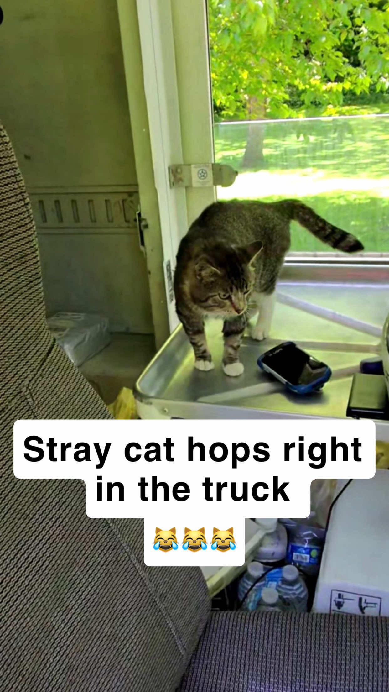 @first class whiskers