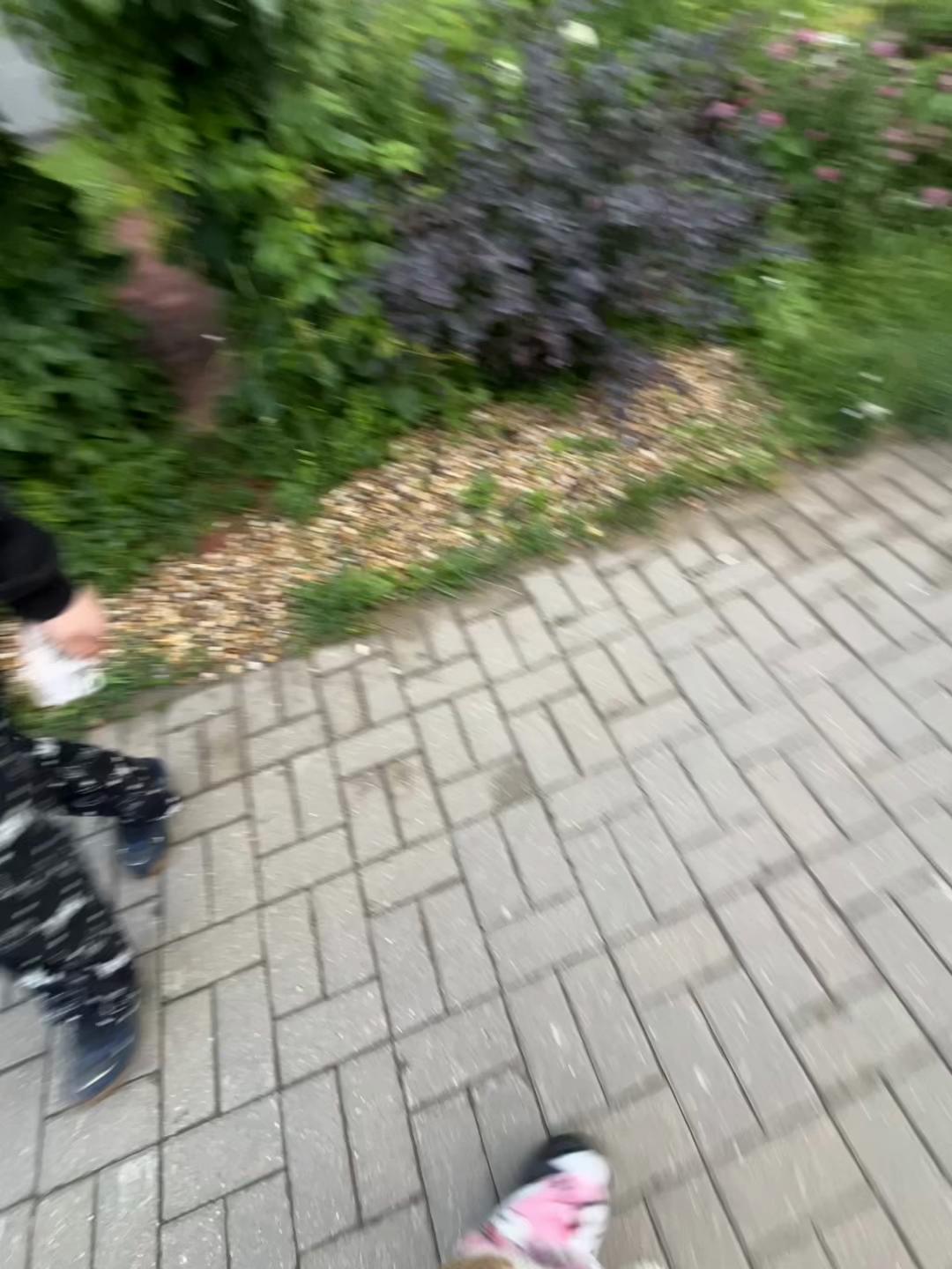 @Рыжая мейби
