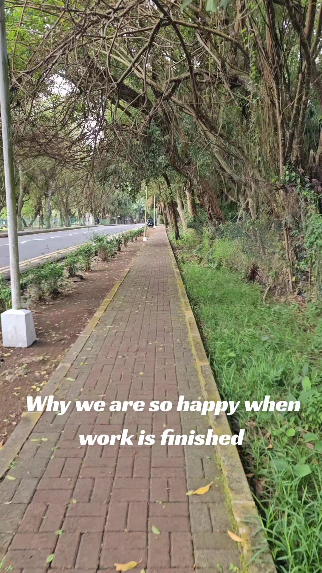 @Yassir Greenhike