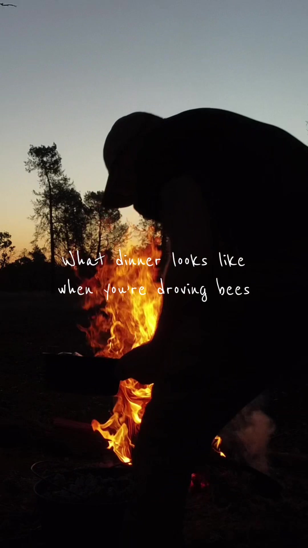 @phiasbees