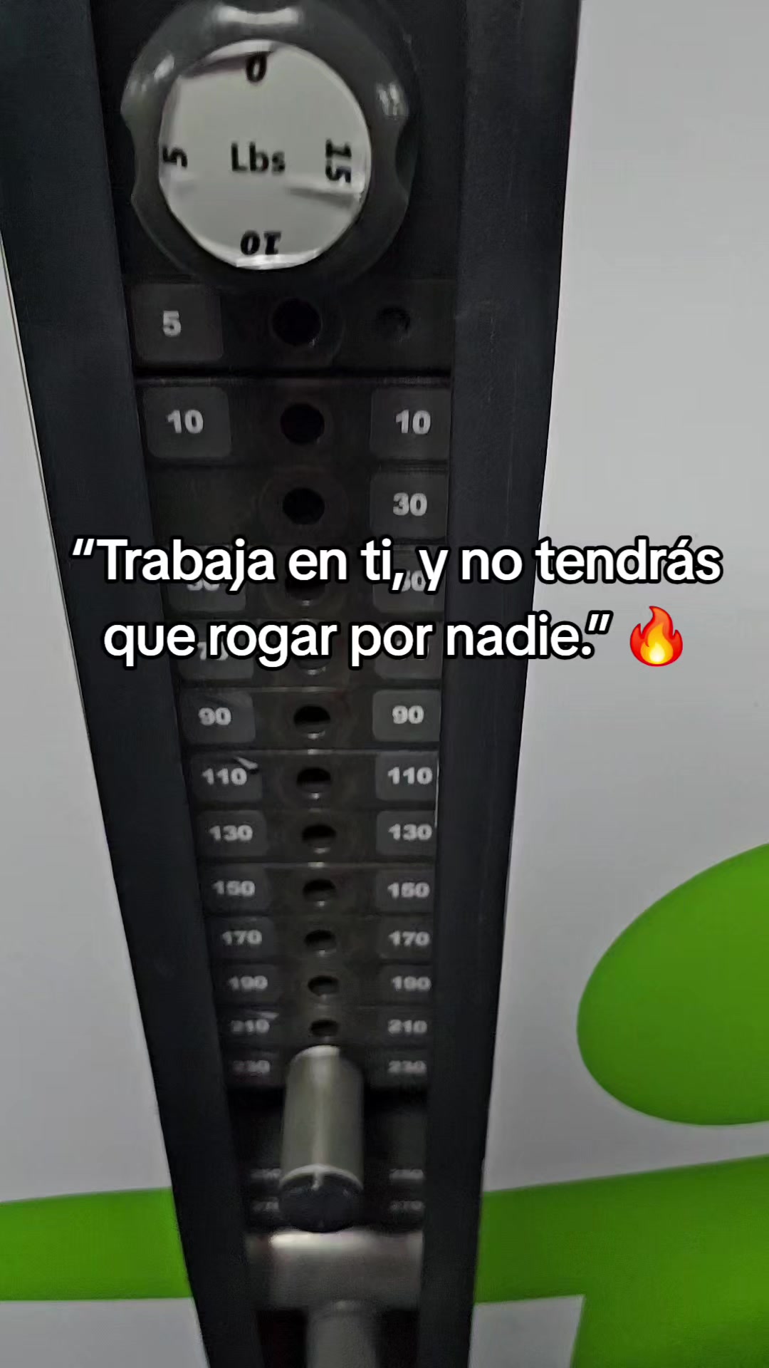 @lilivanessa88