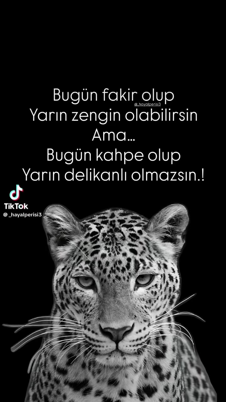 @❤️🩹buzlar kraliçesi.35❤️🩹