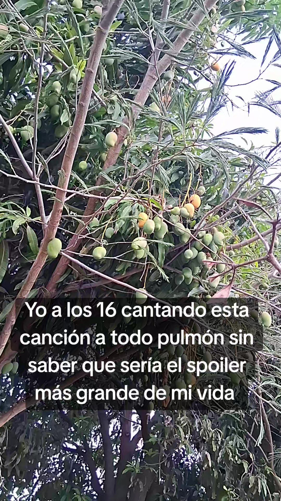@☘️