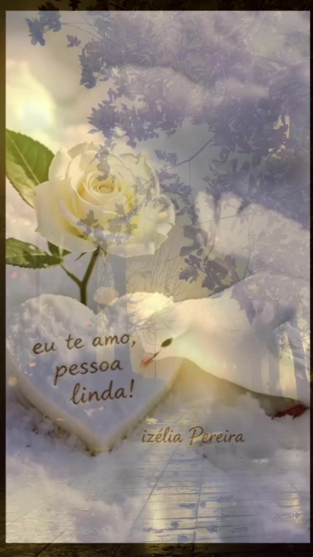 @Gaivota
