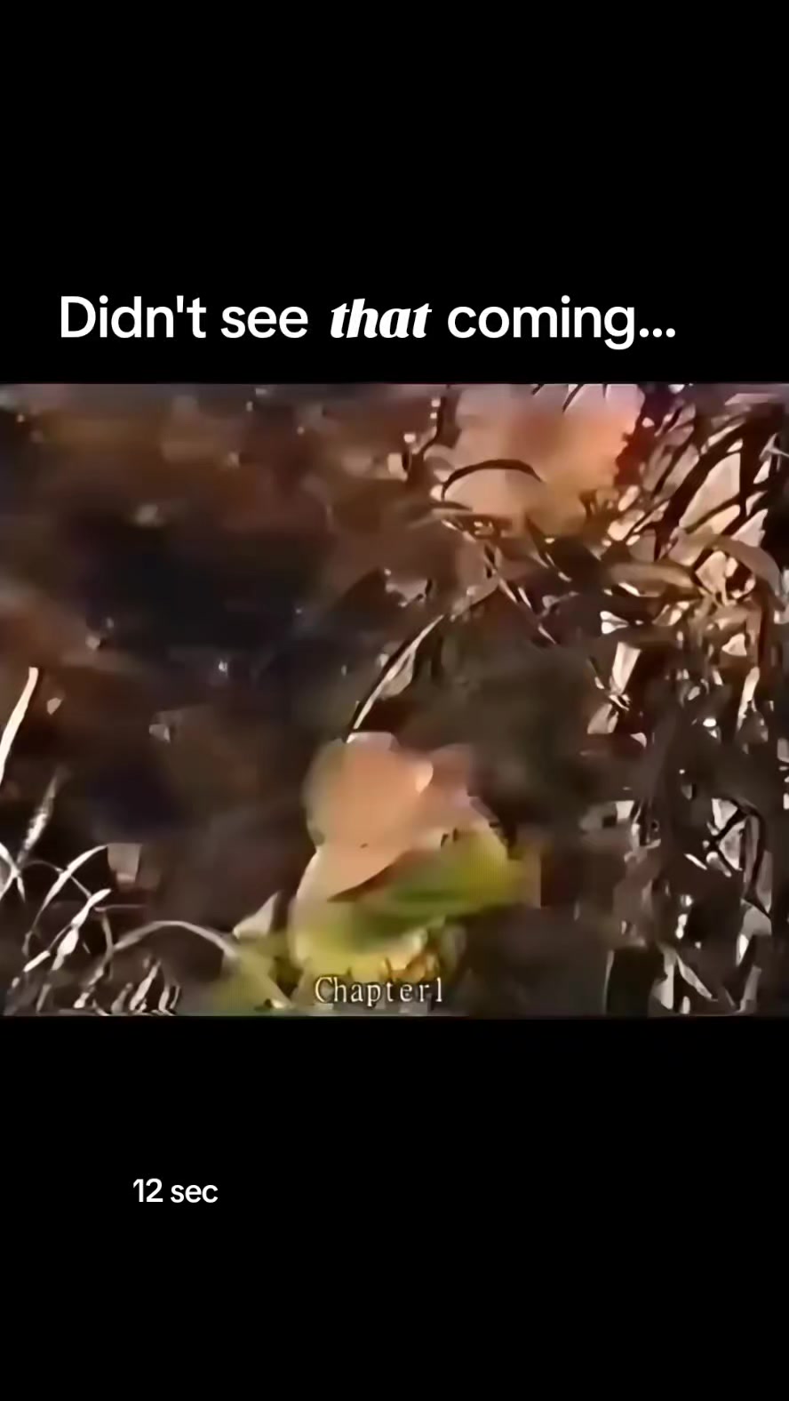 @FFS