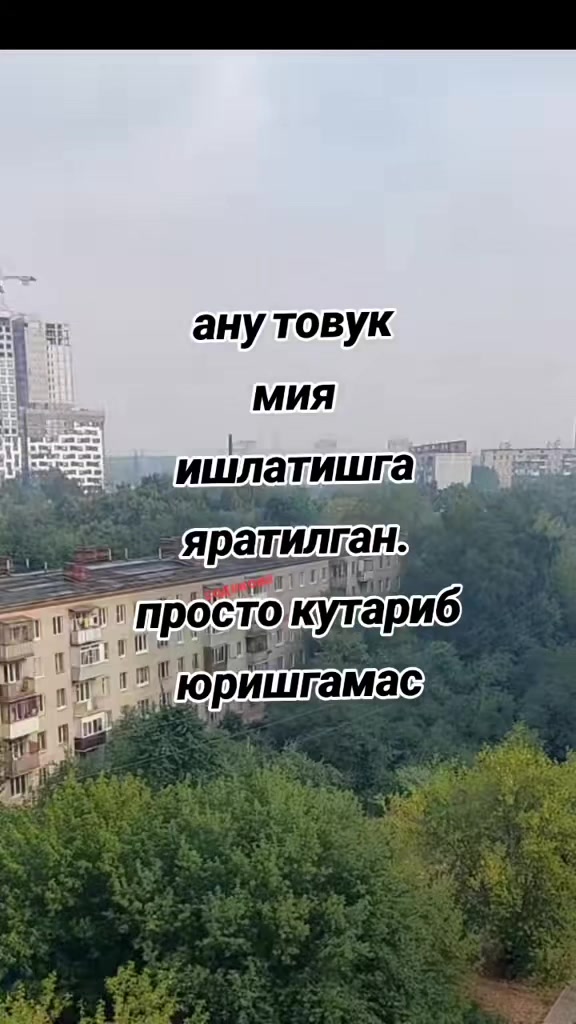 @mts999