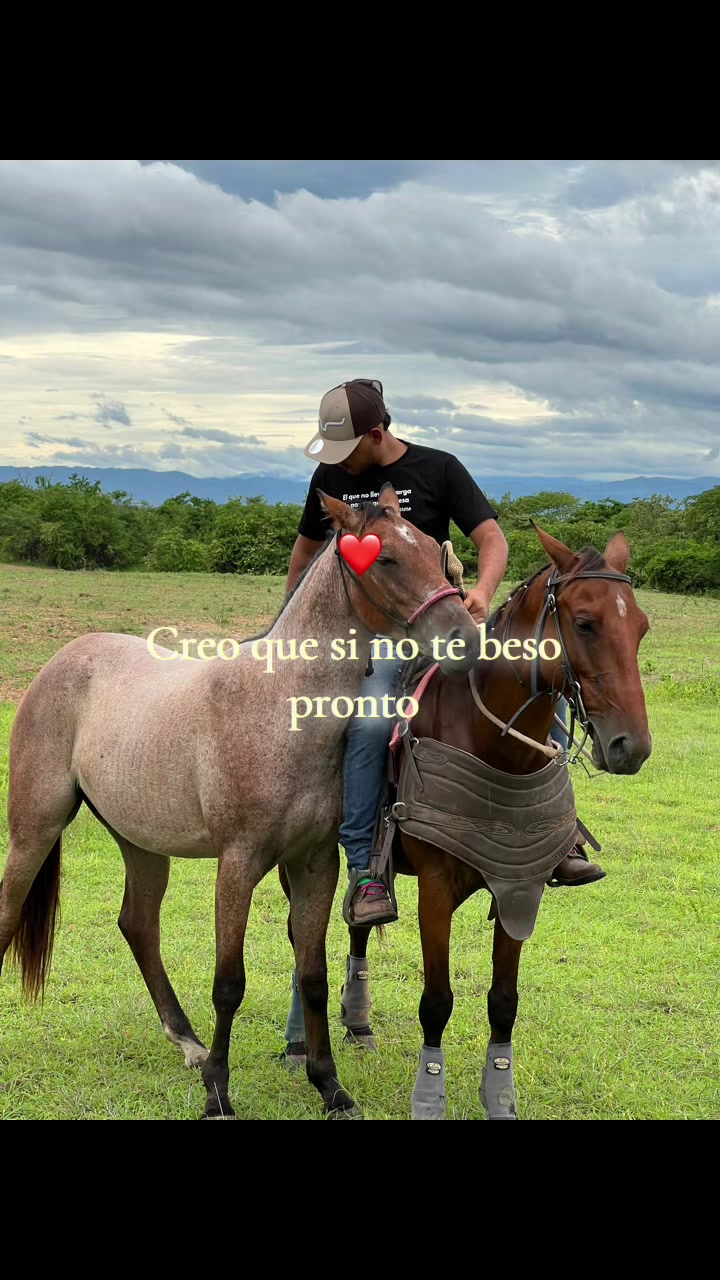 @Henry🤠