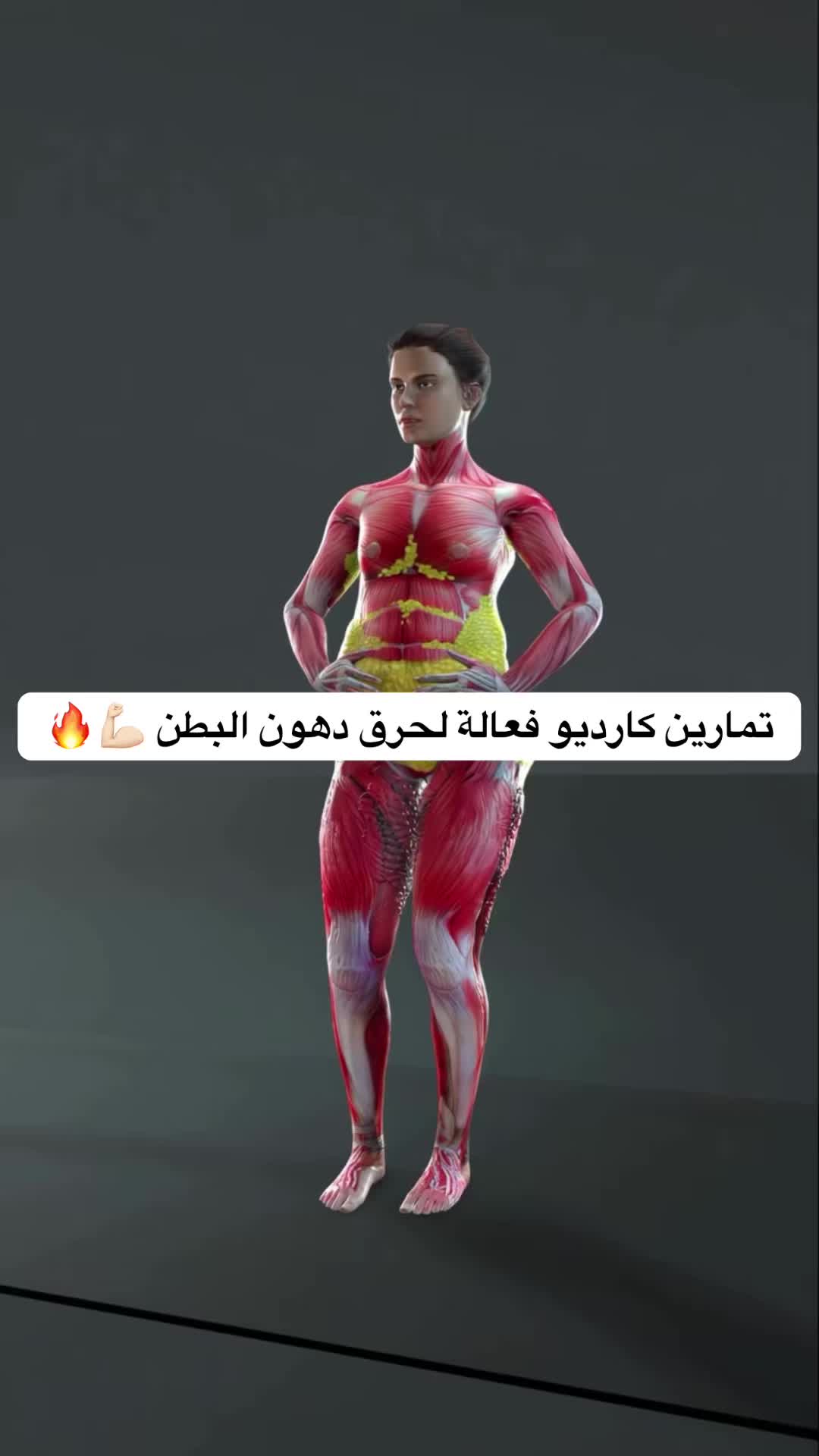 @دايت ماجد
