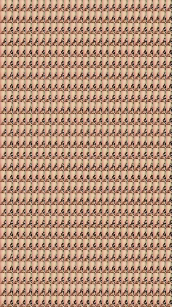 @USER223847921
