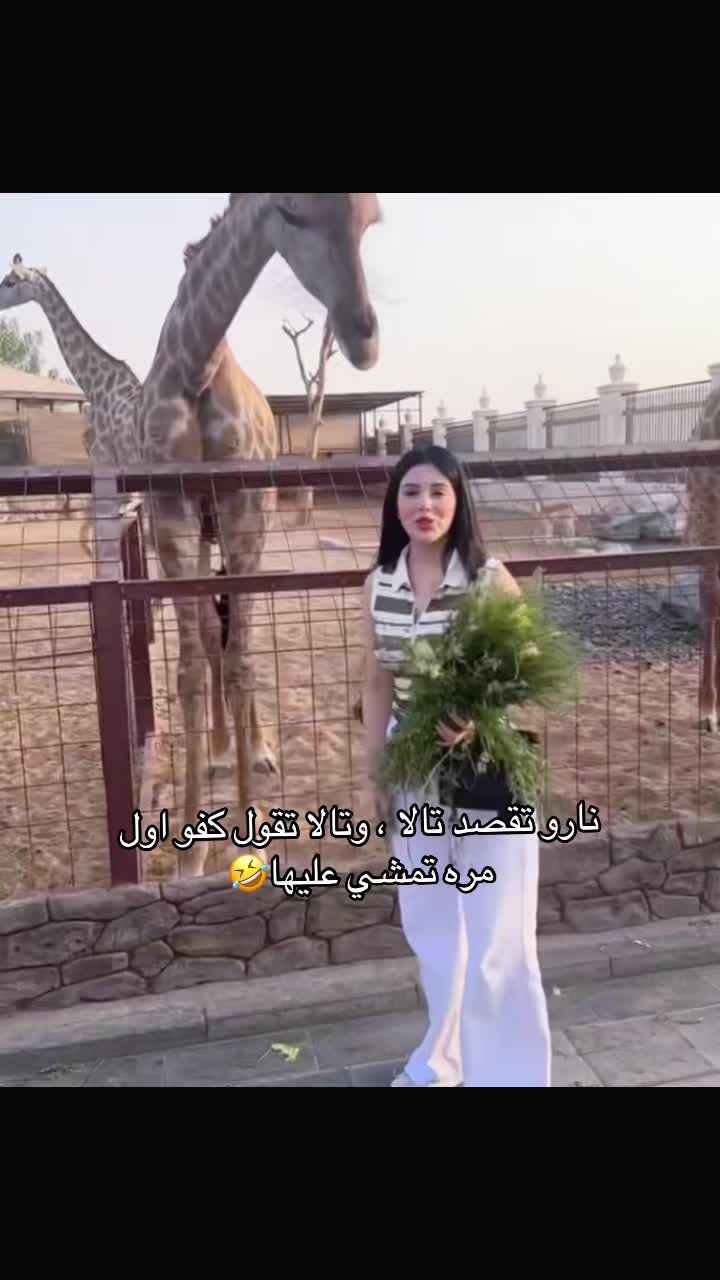 @نـورس🪽