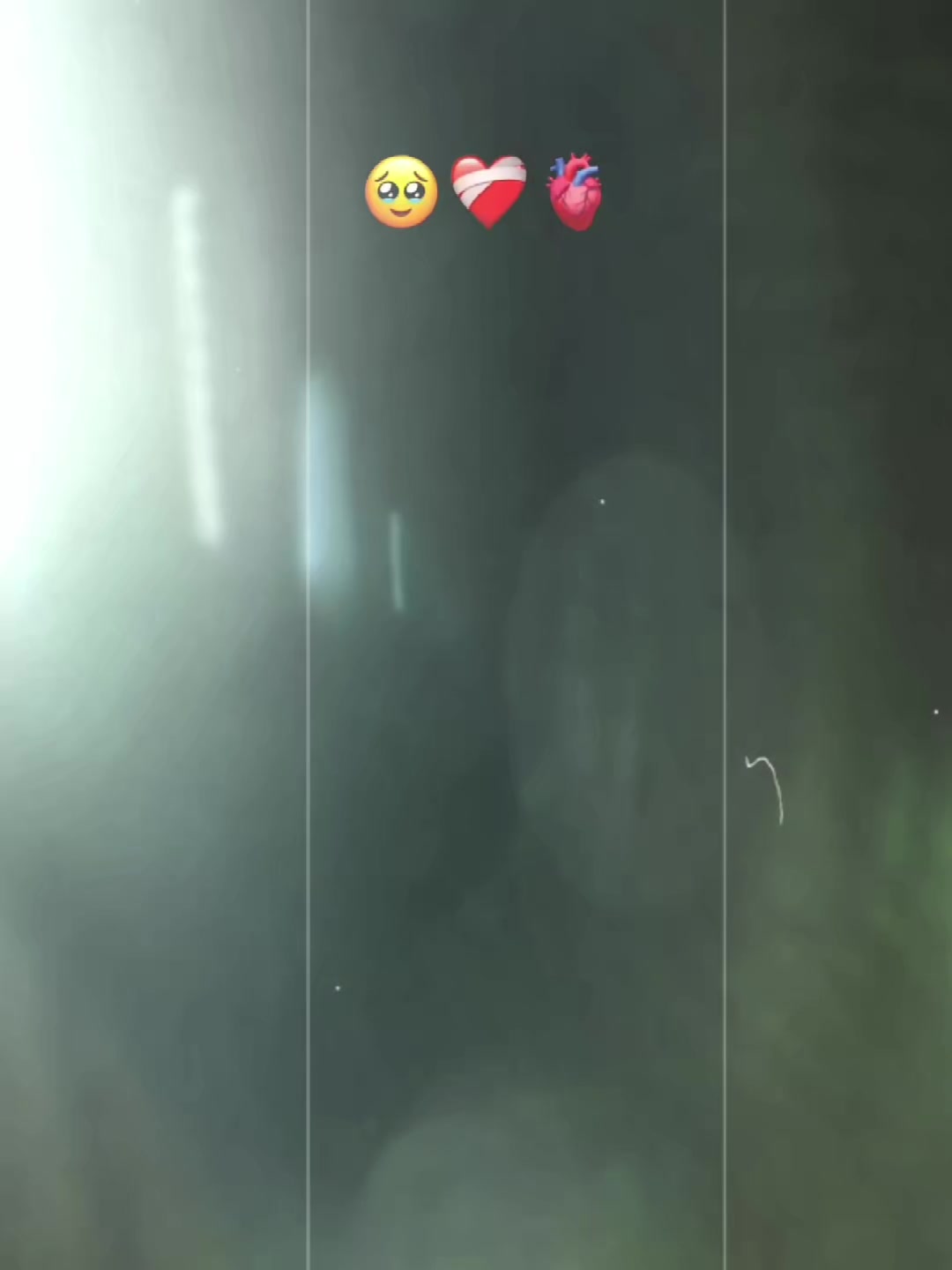 @🦋1.4.3.🦋