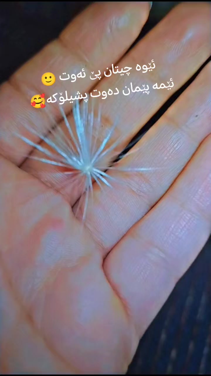 @نـ  ـــونـ  ــــە🕊️🤍
