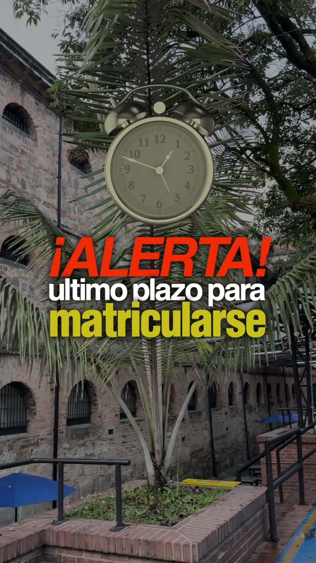 @Jorge CAMACHO