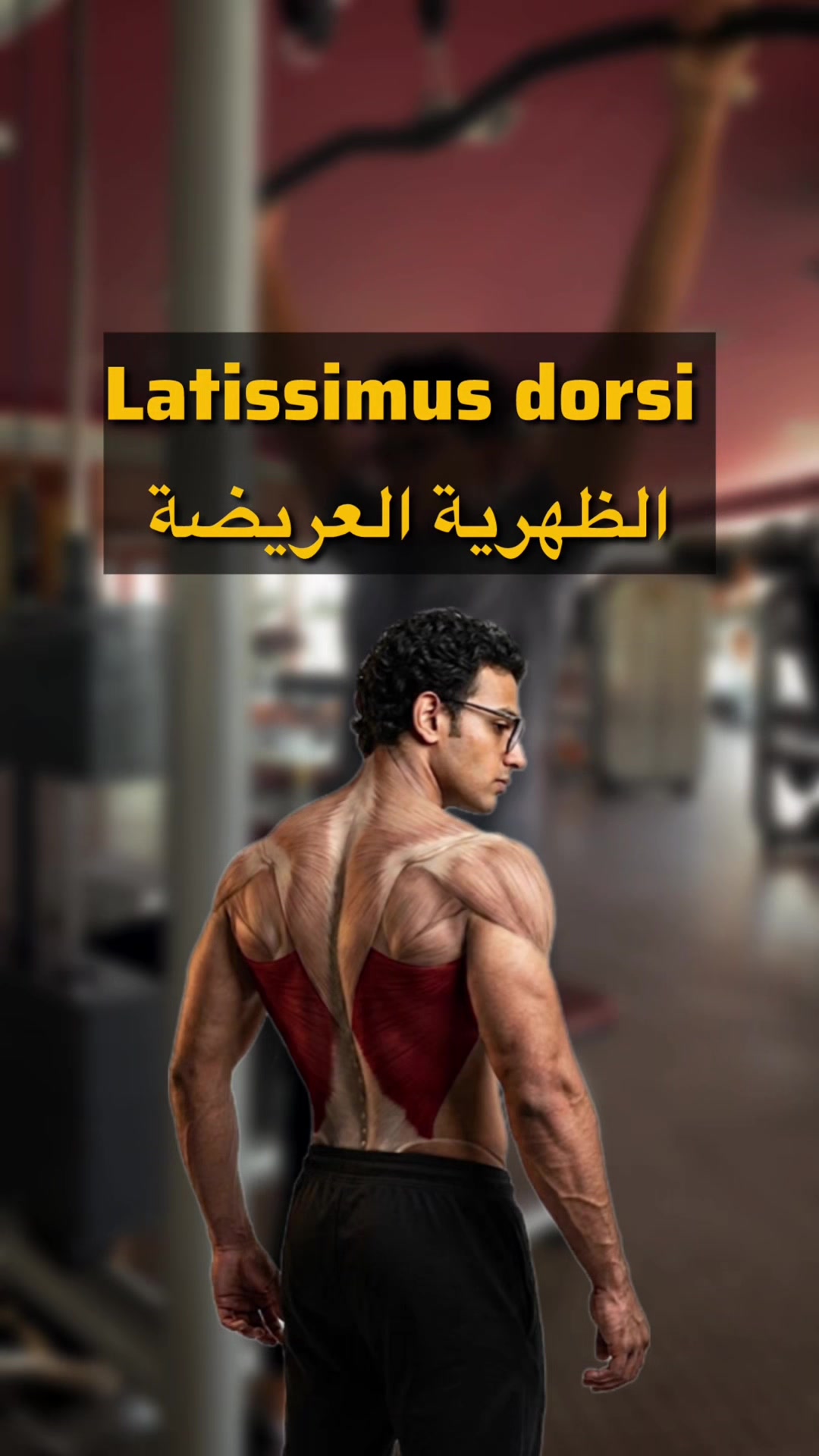 @YOUSSEF