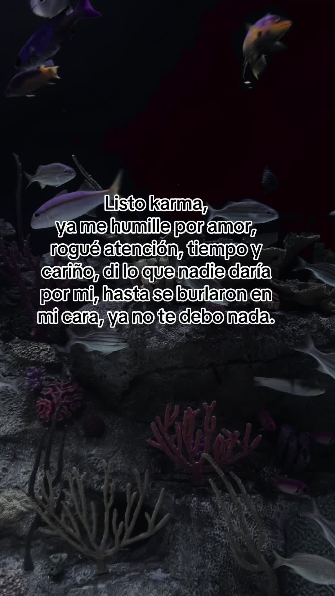 @Sol☀️ frases🥀
