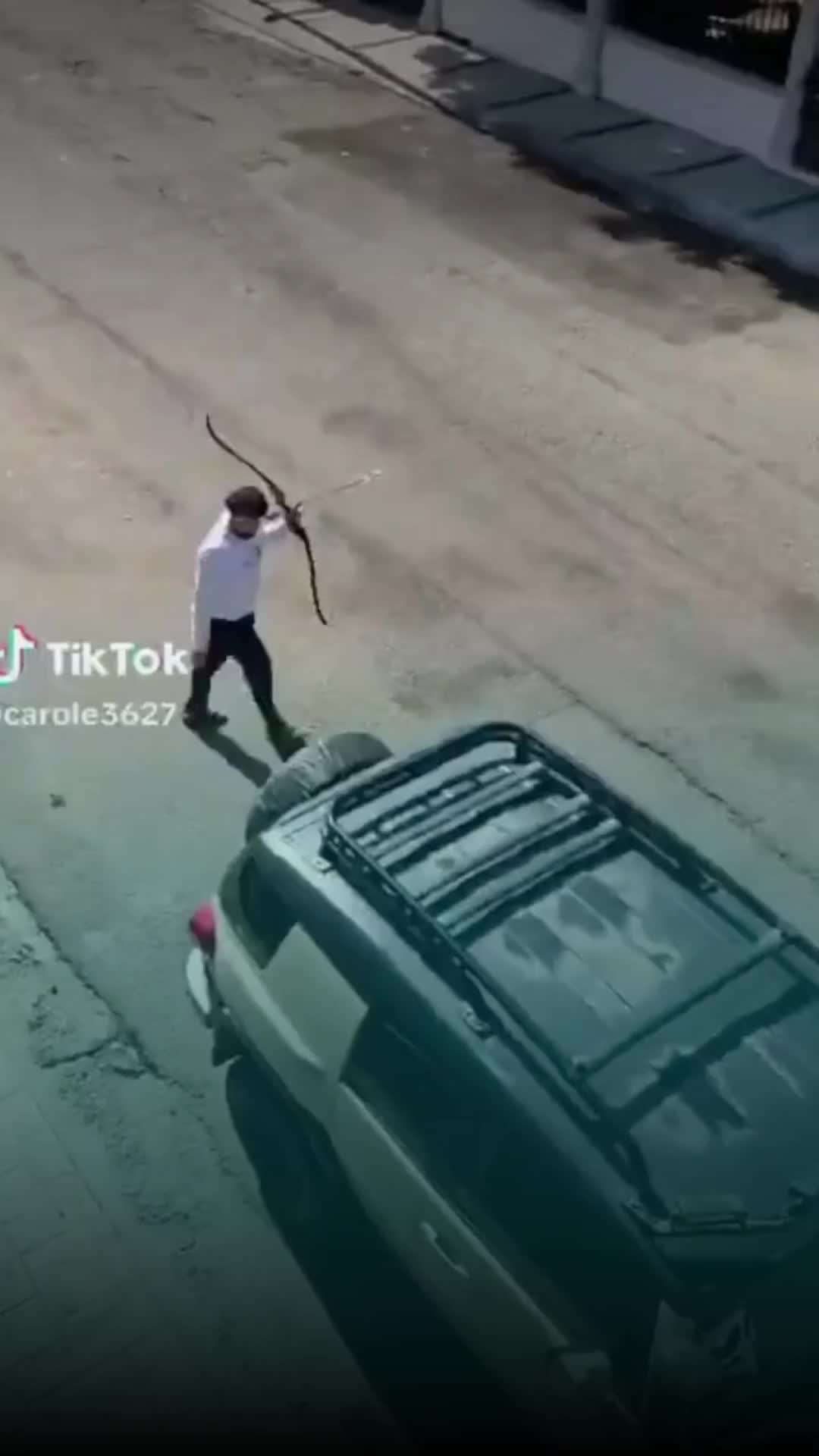 @Entre líneas