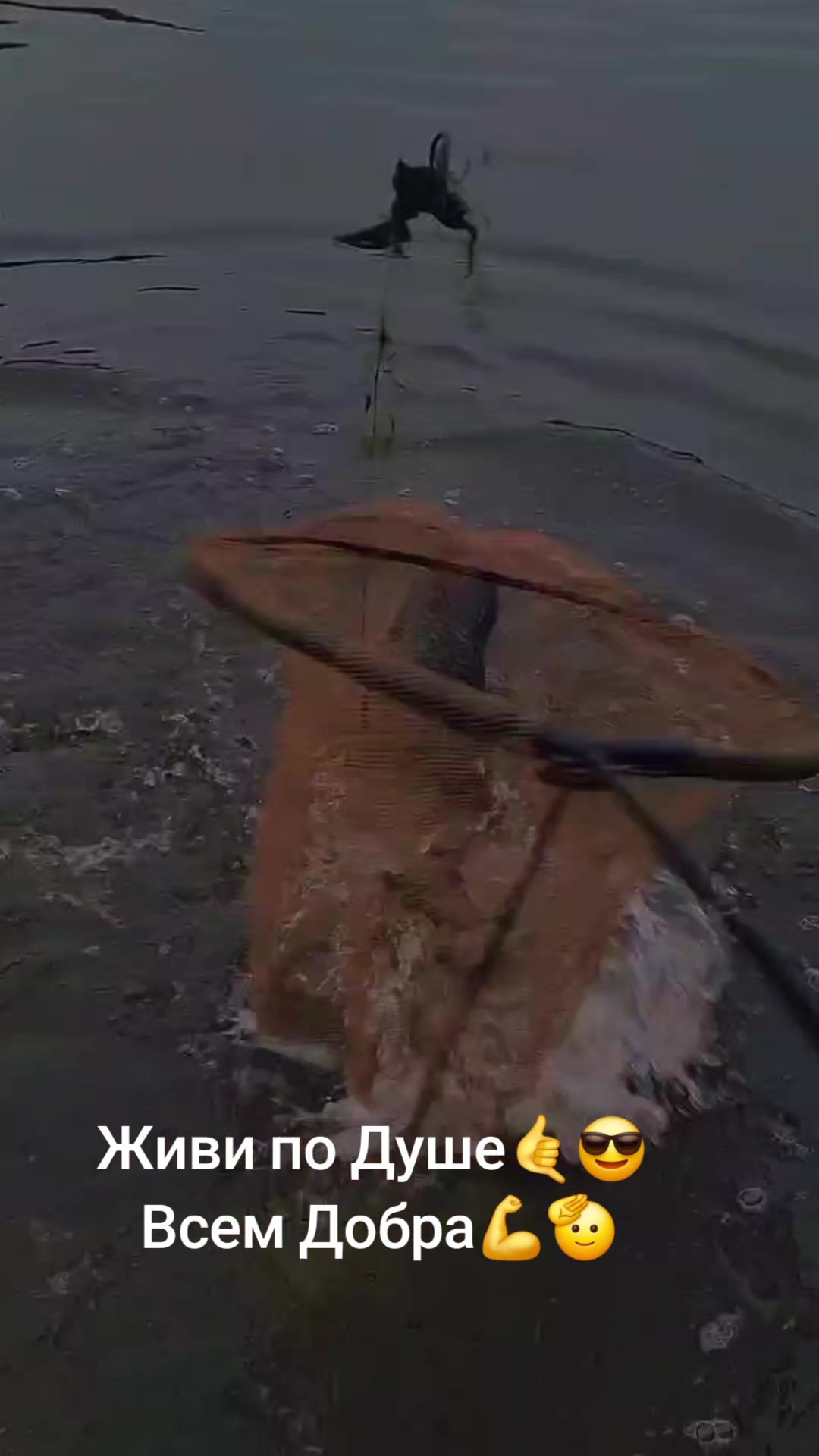 @Дикий карп рулит💪😎💪