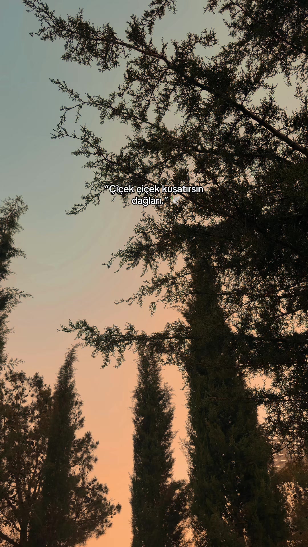@𝓞𝓷𝓼𝓮𝓴𝓲𝔃𝓪𝓻𝓪𝓵ı𝓴