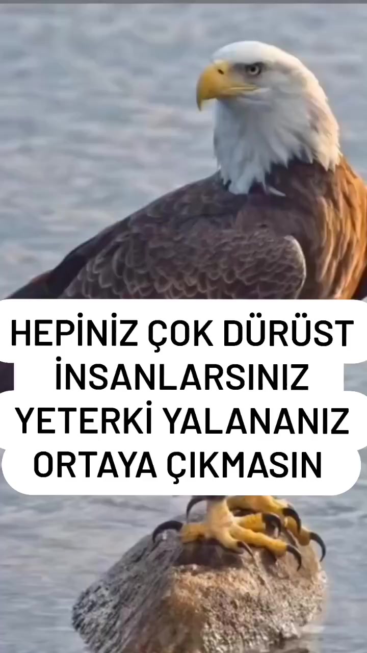 @mervan ay