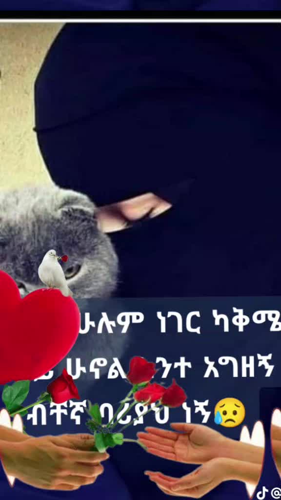 @user9843518045848Zinet mohemme