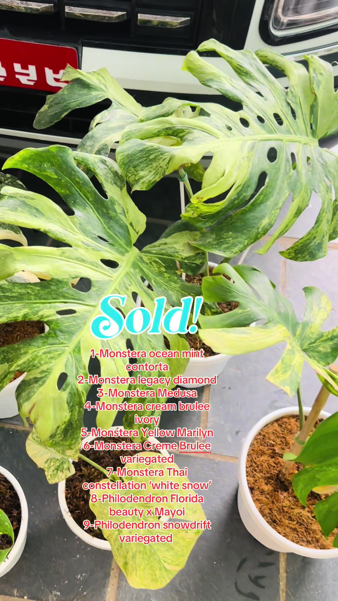 @Plantlife50