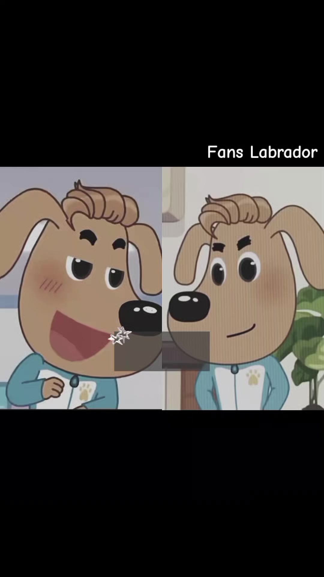 @𝐅𝐚𝐧𝐬 𝐋𝐚𝐛𝐫𝐚𝐝𝐨𝐫
