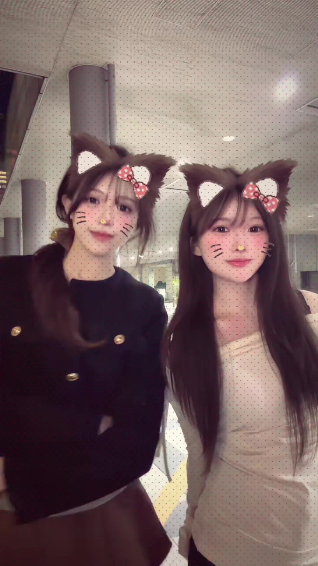 @kisara