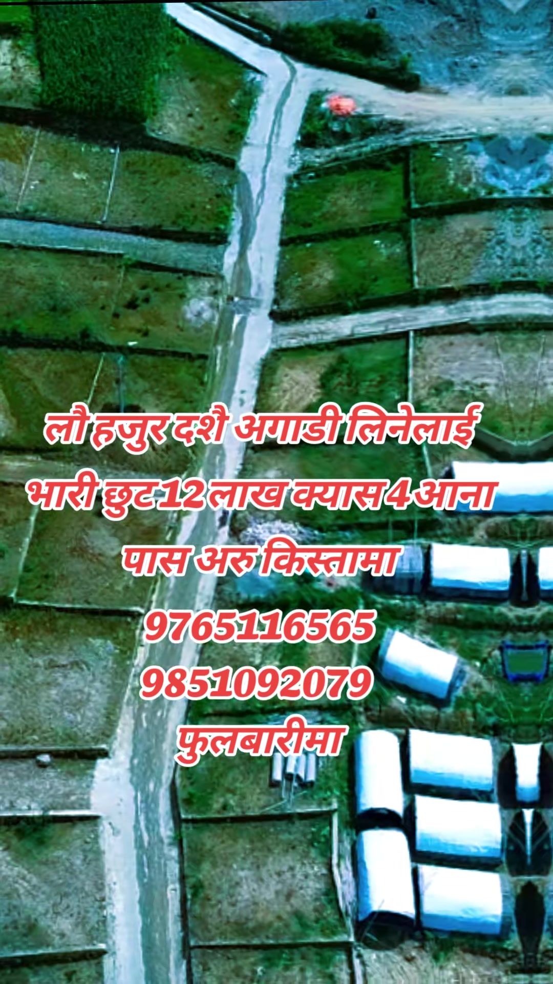 @Bikri Sewa