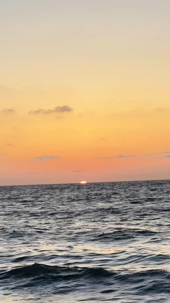 @﮼يسار،العمور