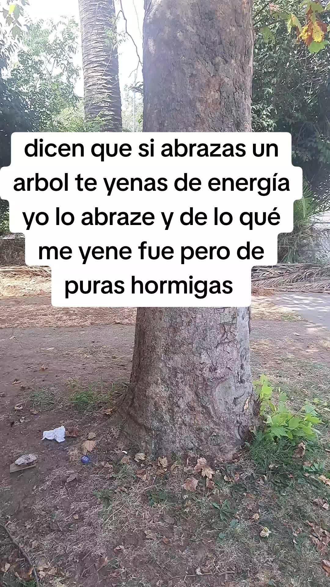 @el barbas de Jalisco