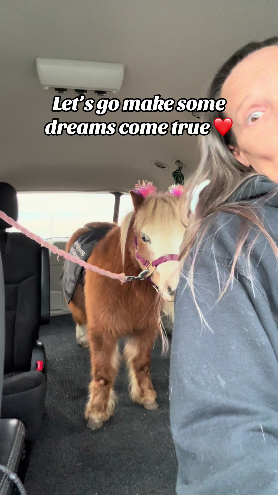 @Hot Sauce the Mini horse 🐎