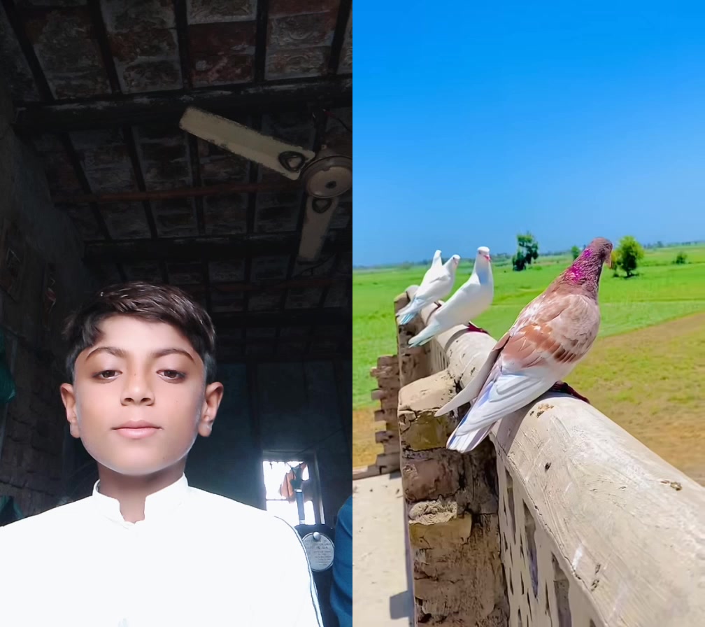 @Rahul parmar