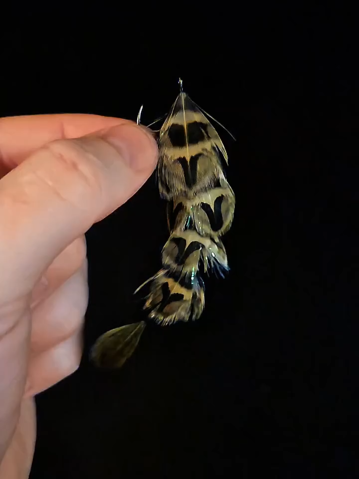 @veevusFishing