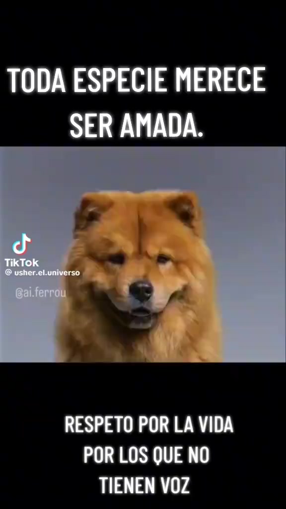 @lukas correa