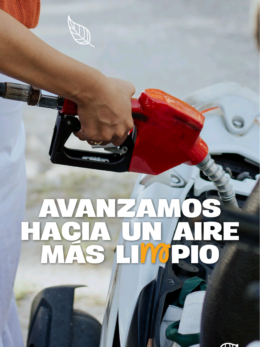@Ministerio de Ambiente GT