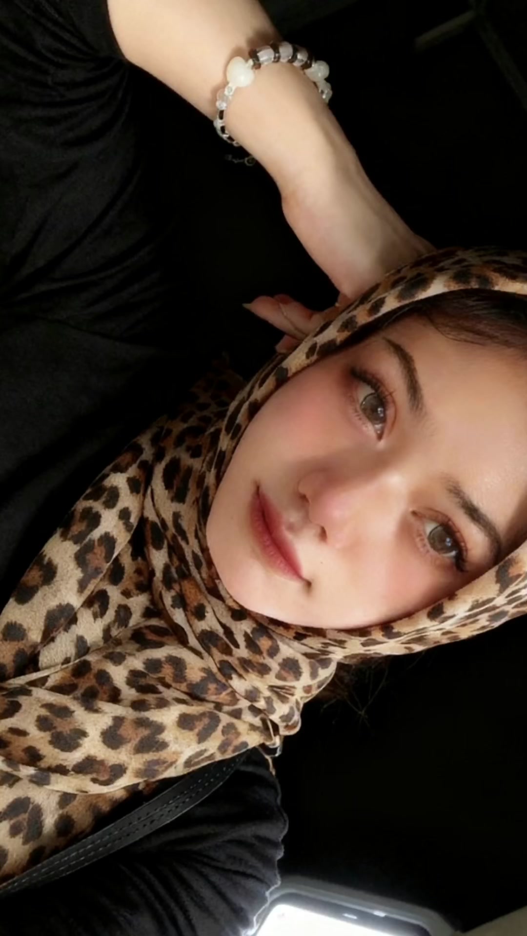 @ini.vivii