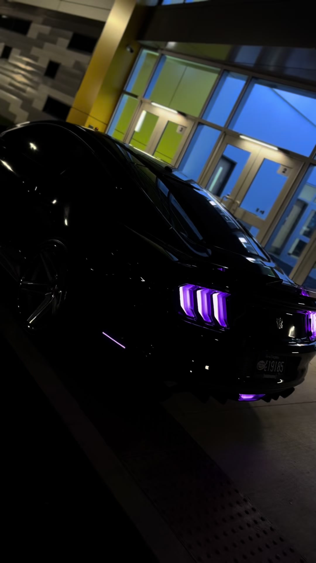 @blackout_coyote