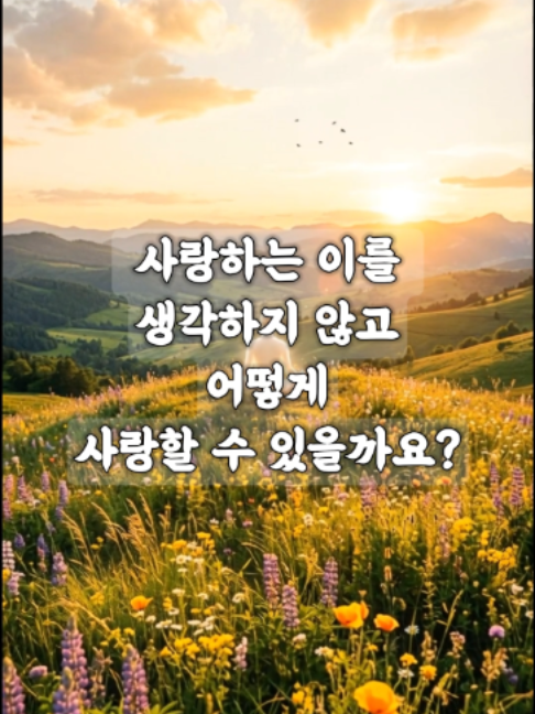 @빛의 씨앗