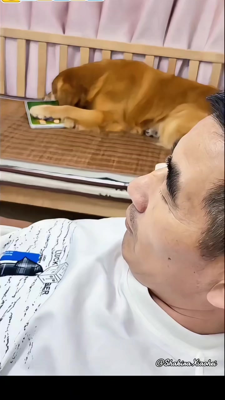 @Shakira Sopawong Xiaohei