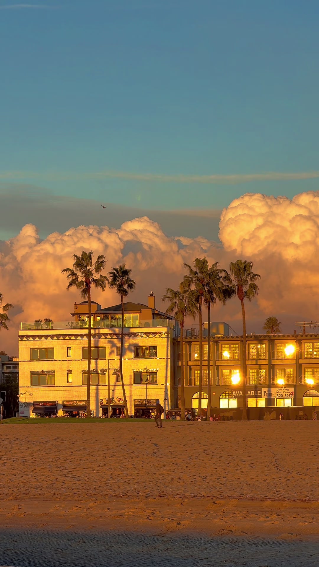 @Venice Beach Boardwalk
