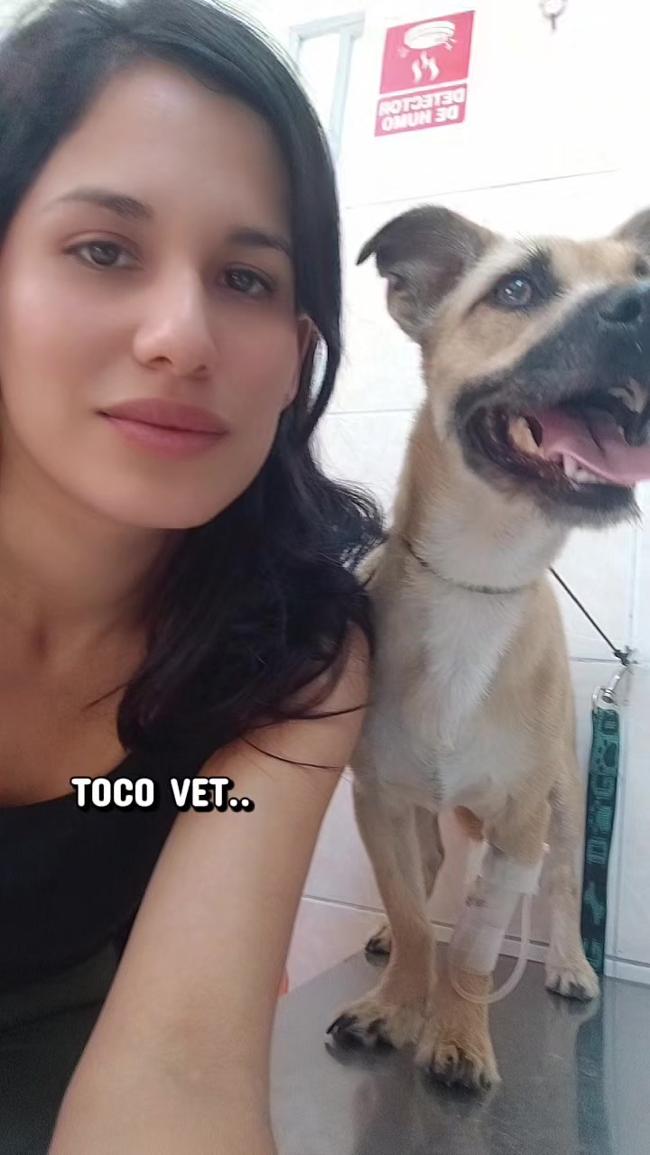 @Vital Paw