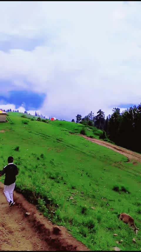 @JUTT SAAB
