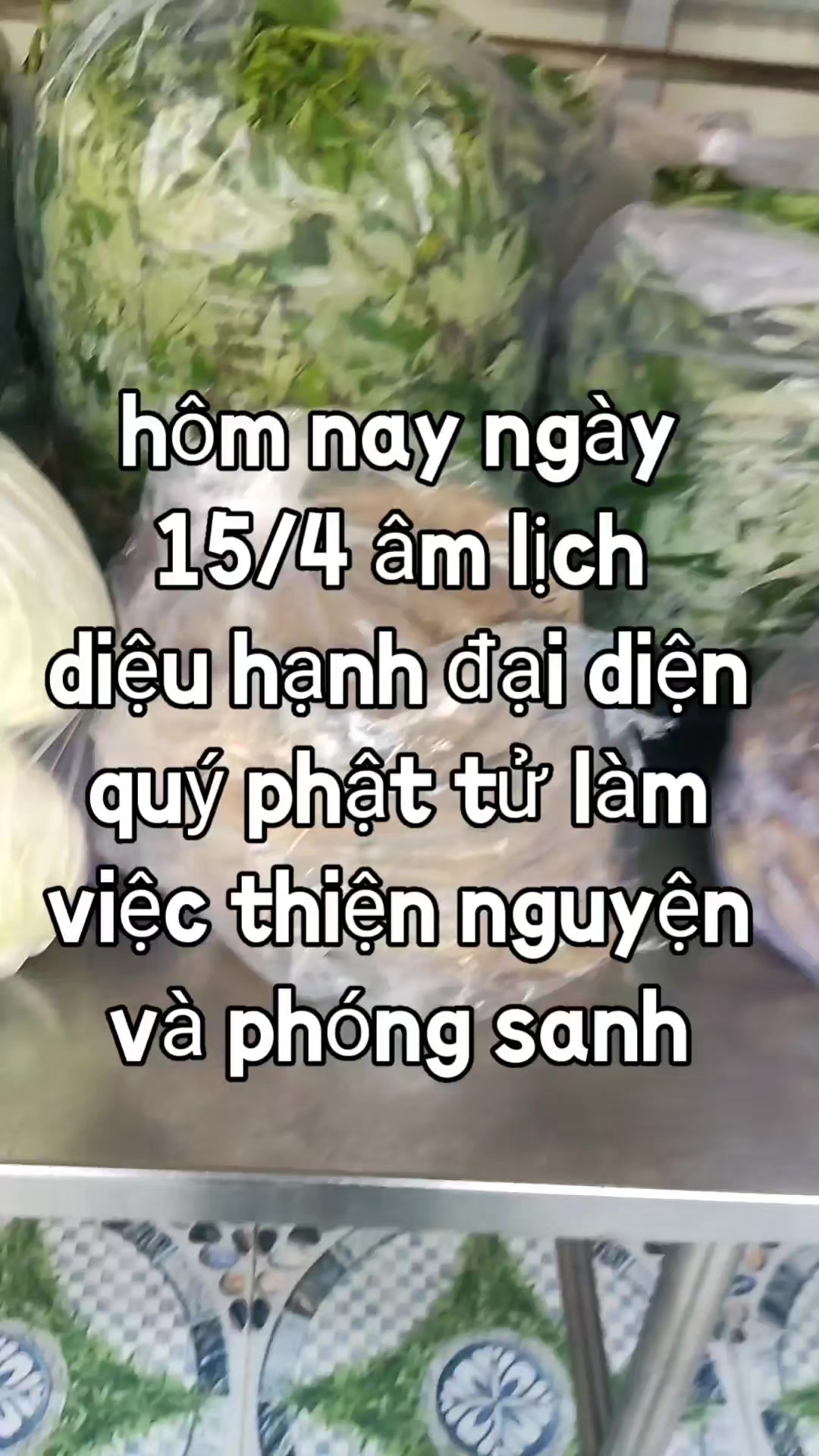 @nh&oacute;m tn diệu hạnh bỏ c&ocirc;ng sức