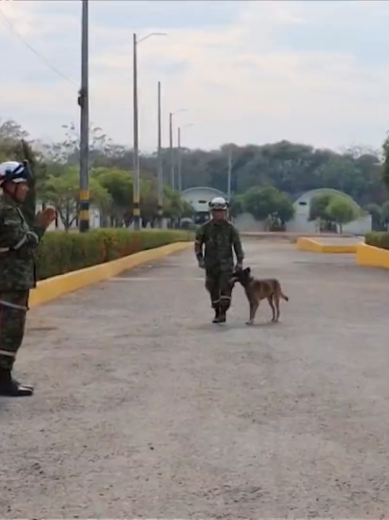 @NoticiasRCN