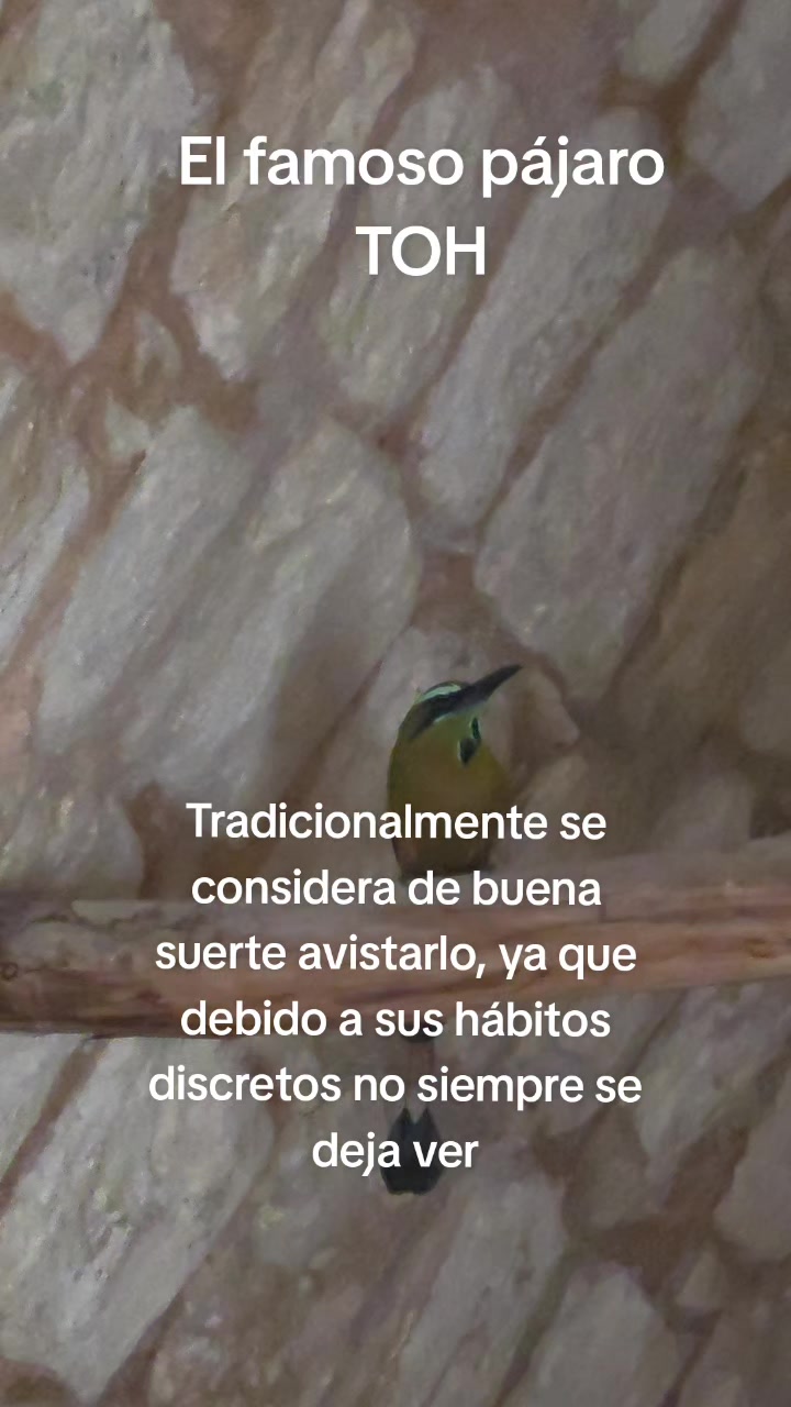 @Guías de Yucatán