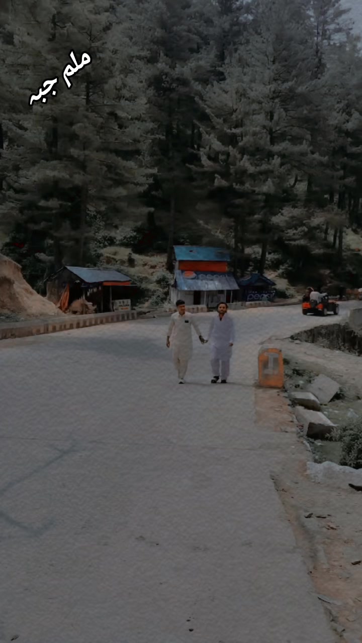 @maeen jani