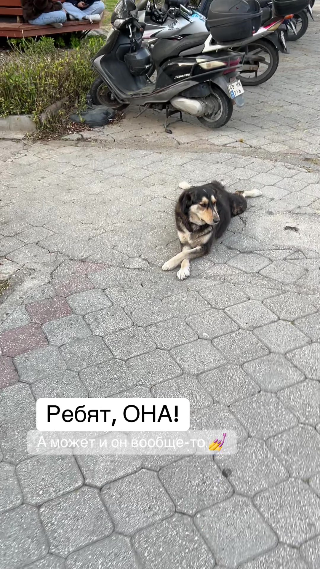 @Slava Koshmar