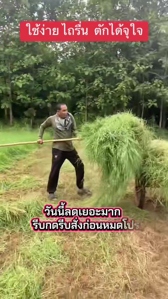 @นัดดาชอป